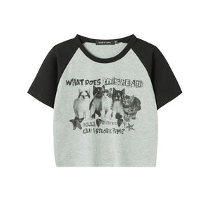 Cat T-Shirt Color Block – Raglan Sleeve, Cropped - MRC STORET-ShirtsMy StoreCat T-Shirt Color Block – Raglan Sleeve, CroppedMRC STORECJCS214354506FUGreen GrayL