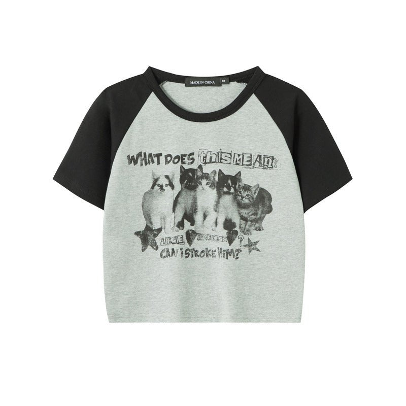 Cat T-Shirt Color Block – Raglan Sleeve, Cropped - MRC STORET-ShirtsMy StoreCat T-Shirt Color Block – Raglan Sleeve, CroppedMRC STORECJCS214354506FUGreen GrayL