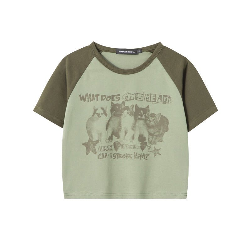 Cat T-Shirt Color Block – Raglan Sleeve, Cropped - MRC STORET-ShirtsMy StoreCat T-Shirt Color Block – Raglan Sleeve, CroppedMRC STORECJCS214354506FUGreen GrayL